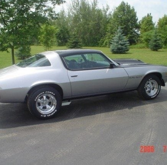 Meet your Posher, Steve - Picture 1 of 1